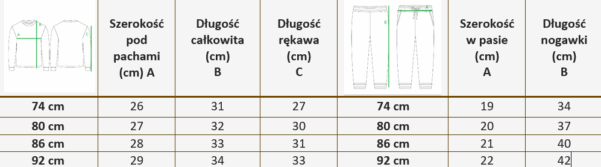 Komplet Bluza+Leginsy - obrazek 3