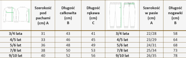 Komplet dresowy T-Rex - obrazek 3