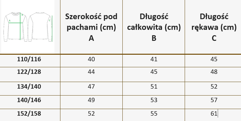 Bluza Ocieplana WINS - obrazek 3