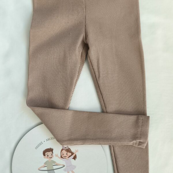 Leginsy prążkowane